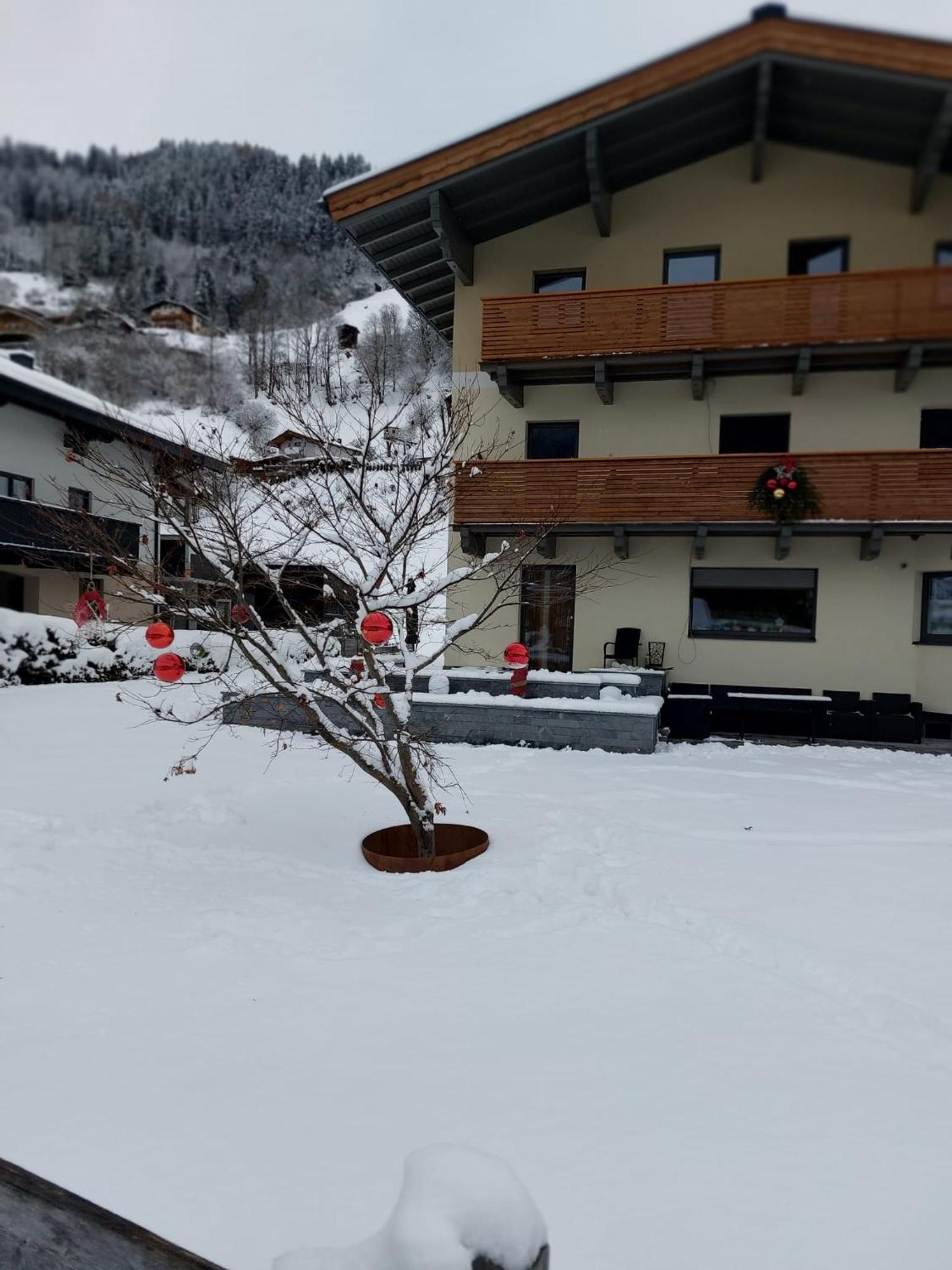 Appartement Reichholf Bramberg am Wildkogel Ngoại thất bức ảnh